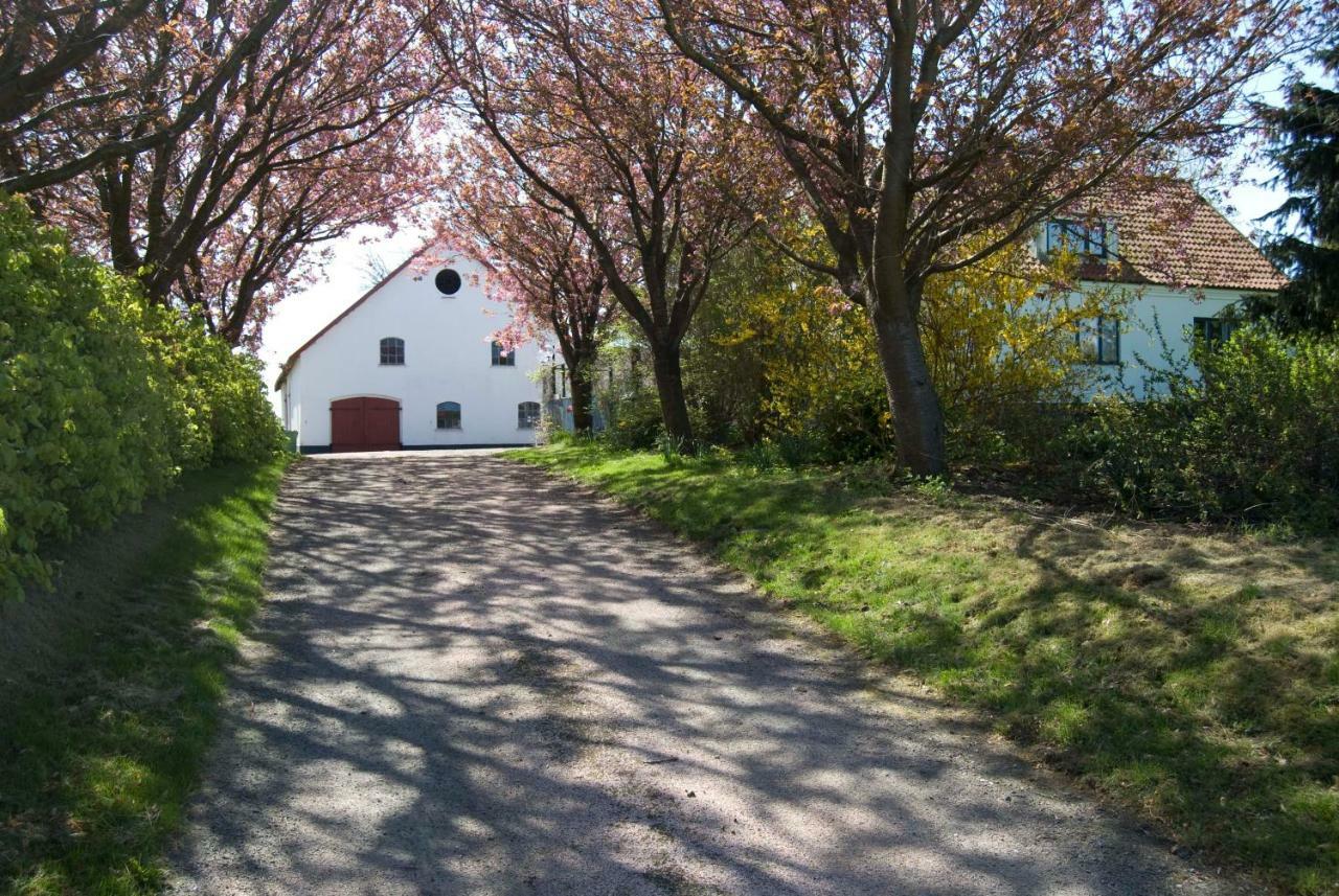 Peterslund Apartamento Östra Tommarp Exterior foto